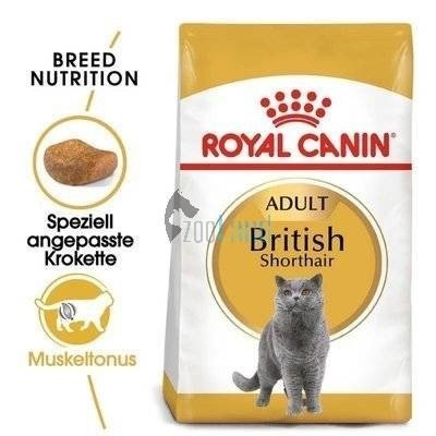 ROYAL CANIN British Shorthair 400g + Überraschung für die Katze