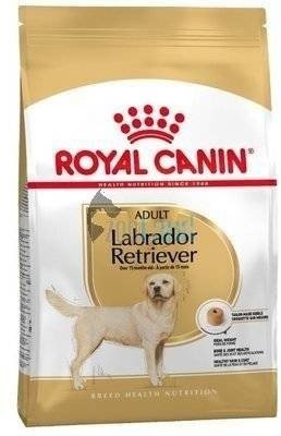 ROYAL CANIN Labrador Retriever Adult 12kg +Überraschung für den Hund