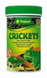 TROPICAL Crickets 2x 100ml
