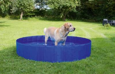 Kerbl-Pool für Hunde, 75l, 80 cm x 20 cm