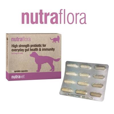 NUTRAVET Nutraflora für Hunde & Katzen 12 Kapseln - Ein Probiotikum, das die tägliche Darm- und Immungesundheit stark unterstützt