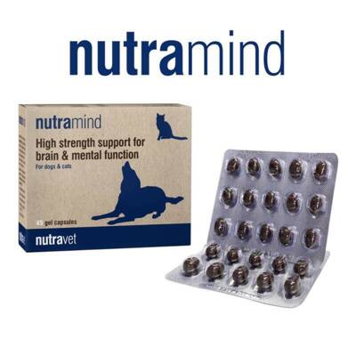 NUTRAVET Nutramind für Hunde & Katzen 45 Kapseln - Natürliche Unterstützung der Gehirnfunktion, des Trainings und des Lernprozesses