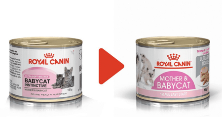 ROYAL CANIN Babycat Instinctive Feline - 6x195g 