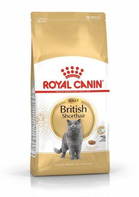 ROYAL CANIN British Shorthair 10kg + Überraschung für die Katze
