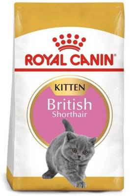 ROYAL CANIN British Shorthair Kitten 2kg + Überraschung für die Katze