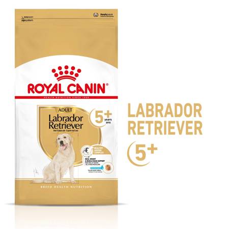 ROYAL CANIN Labrador +5 12kg