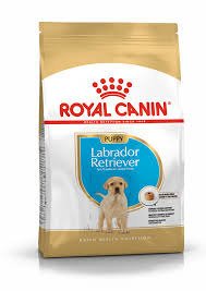 ROYAL CANIN Labrador Retriever Junior 3kg