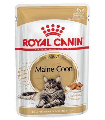 ROYAL CANIN Maine Coon Adult  12x85g in Soße