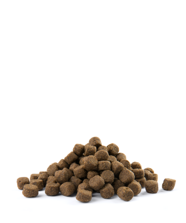 VERSELE-LAGA Opti Life Puppy Medium 12,5kg - mit Huhn - für Welpen mittlerer Rasse