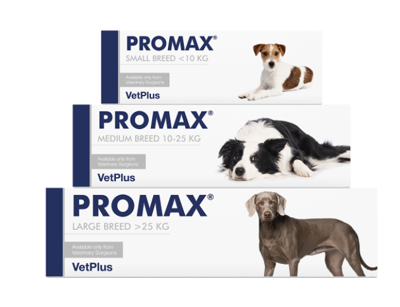 VETPLUS Promax Probiotic für kleine Rassen 9ml