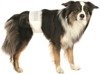 TRIXIE Windeln für erwachsene Hunde 12 Stück L-XL 60-80 cm